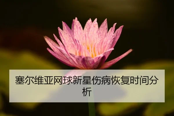 sai-er-wei-ya-wang-qiu-xin-xing-shang-bing-hui-fu-shi-jian-fen-xi-2-183.jpg